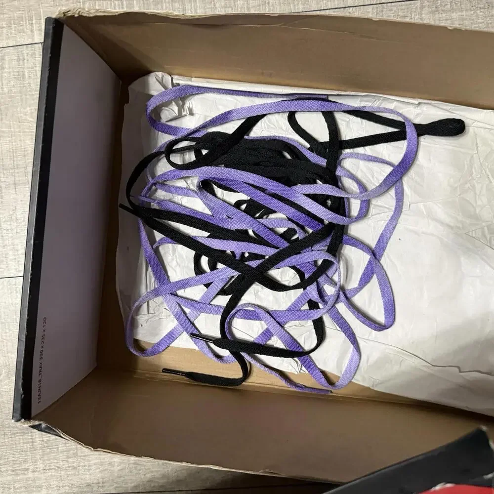 Nike Air Jordan 1 Retro OG High 2.0 Court Purple 555088 500 Size 11.5 men